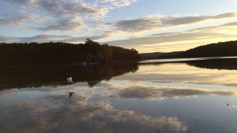 lakefront view