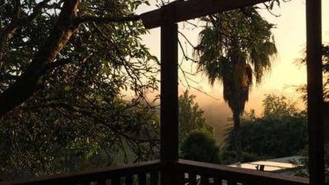 Morning view on verandah looks from bed room