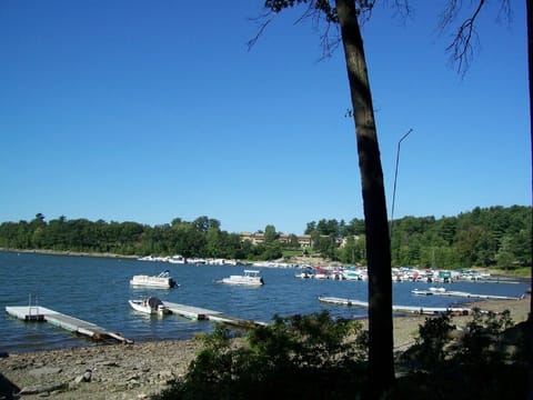 Lakeside view