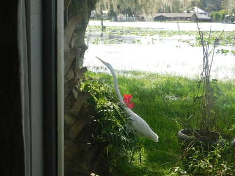 right by window river front