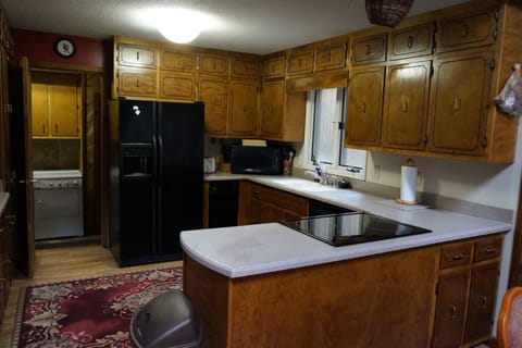 Kitchen - main level