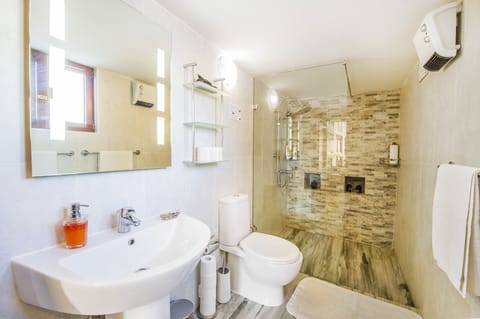 Serenity walk in shower