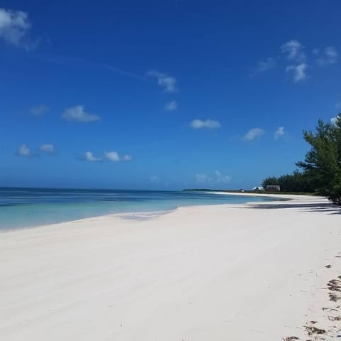 Located on one of the best beaches in the world! Very calm, safe, and warm.  