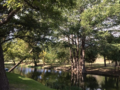 Peaceful private waterfront, 30 acres, both sides of creek. Porch view here.