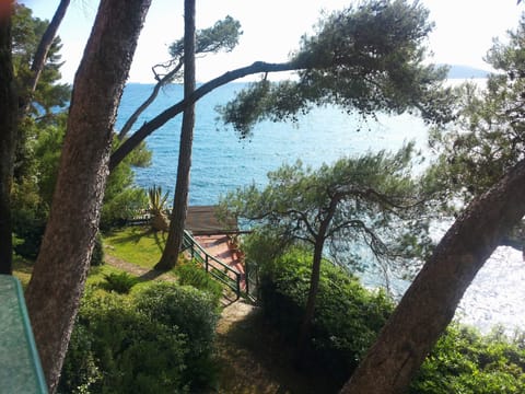 garden view from house terrace