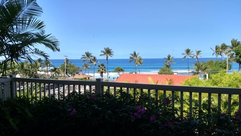 View From Lower Lanai