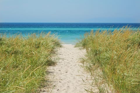 Walking to the beach!