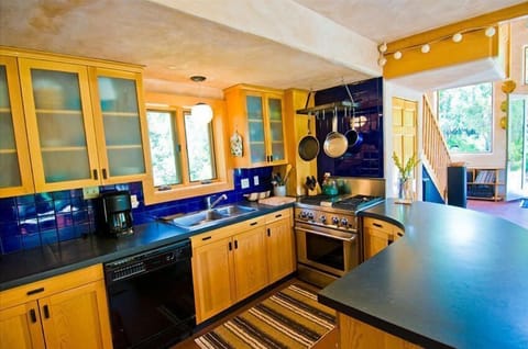 Our custom gourmet kitchen built with any chefs cooking request.