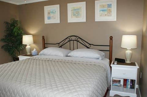master bedroom w/ king bed, walk-in closet, and private bathroom.