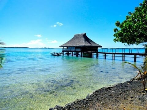 Your own private paradise! 