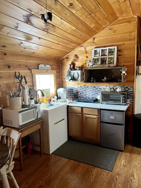 kitchen area with induction stovetop, microwave, toaster oven 