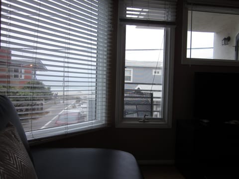 Ocean View from Living Room sectional sofa