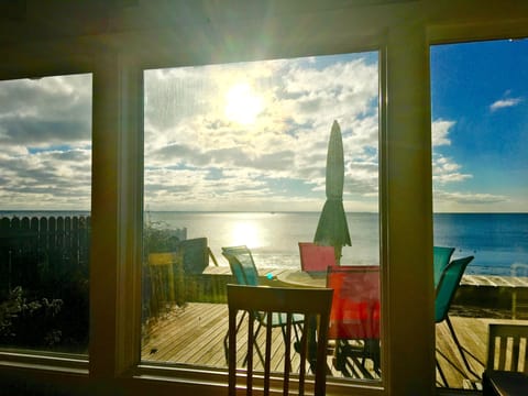 view from dinning table