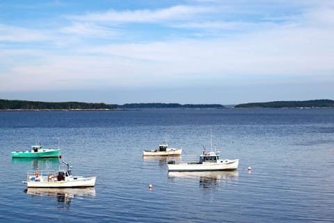 View from Deck