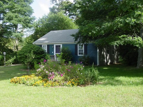 Front yard of house 