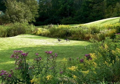 Driving to your rental, as seen left side of driveway when heading to COZY Cabin