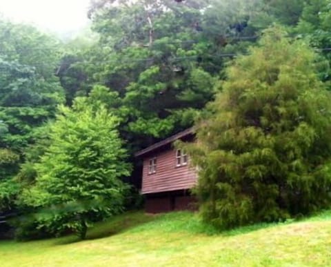 Private cabin nestled & surrounded by wooded trees & natural surroundings