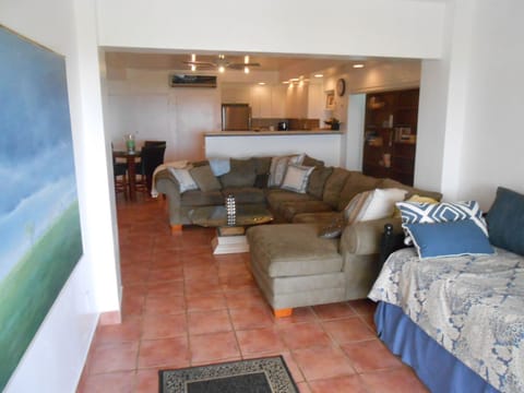 Living area looking in from deck