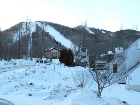 View of Bear Mtn from condo parking lot