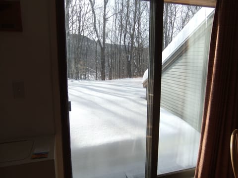 Lots of snow on back patio