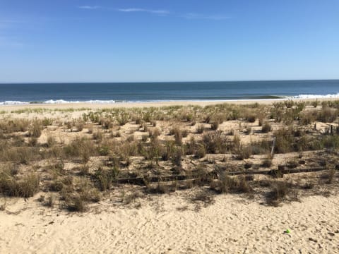 This is YOUR view from our living room and the master bedroom!