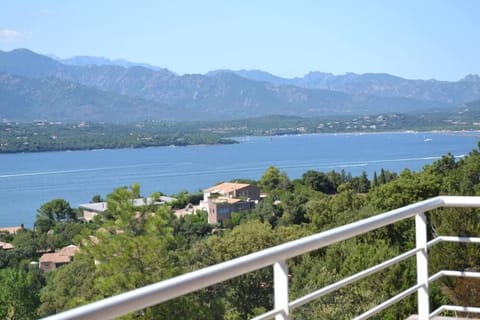 Terrace / Balcony