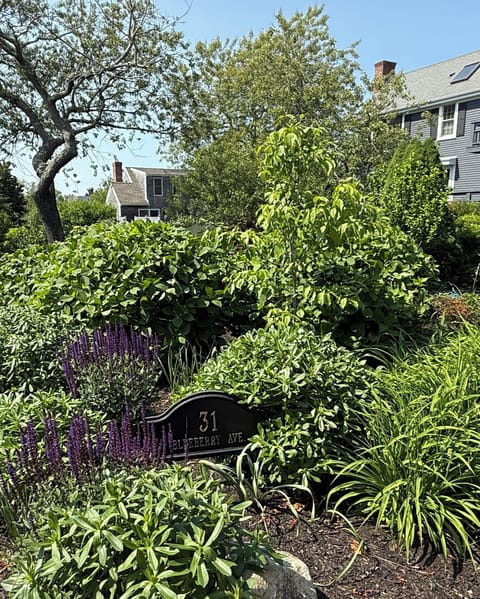 Welcome to 31 Blueberry Ave