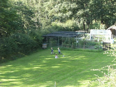 Fun in the sun . . .