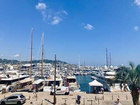 The view of the Quai Saint Pierre from the apartment balcony