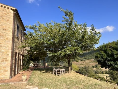 Front garden with mulberry tree
