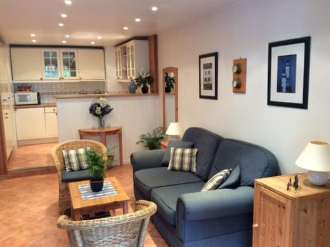 Kitchen and living room (double sofa bed)