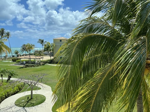 The view to the Ocean 