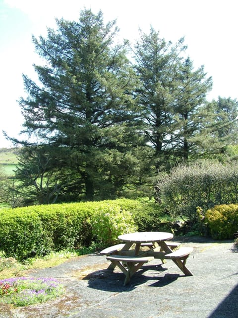 Garnllys garden