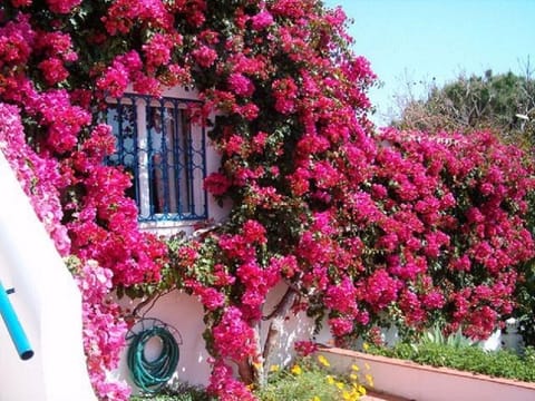 Casa Miramar