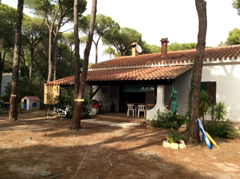 The house
