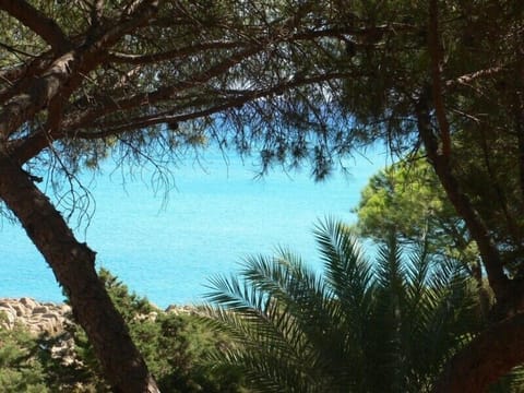 view from the terrace