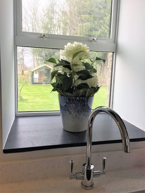 View from the kitchen to the playhouse.