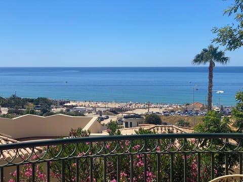 Very Recent View 