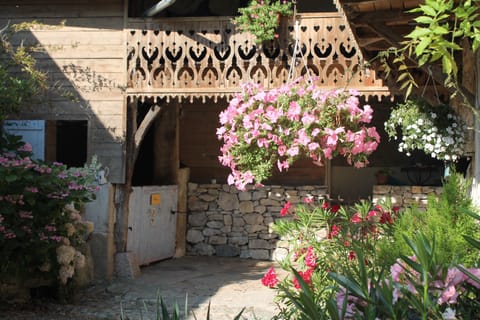 Even for your horses