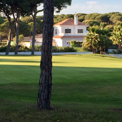 Back view from golf course 