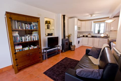 Lounge area in apartment 3 featuring a log burner and flat screen TV DVD combo.