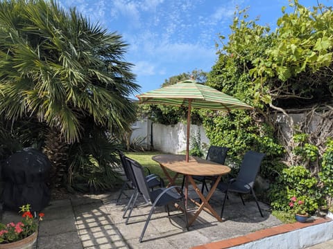 Sunny back garden