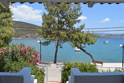 View from the veranda
