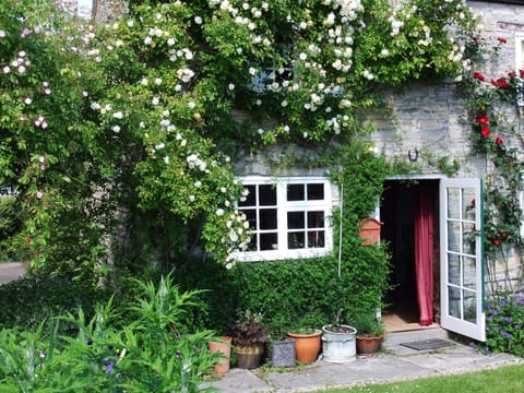 A light and airy June day at The hamlet