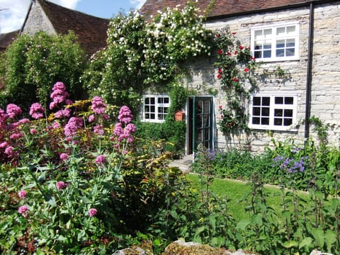 The front garden in late spring