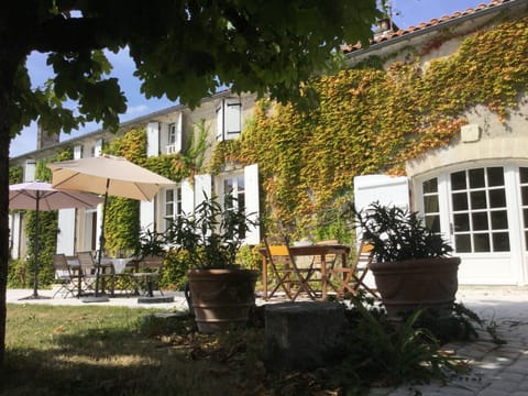 Terras