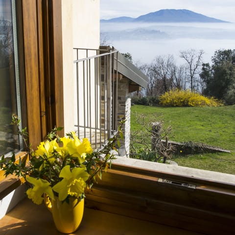 View from first floor window