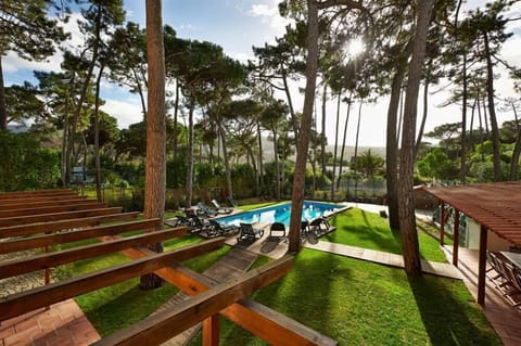 Overview of the garden