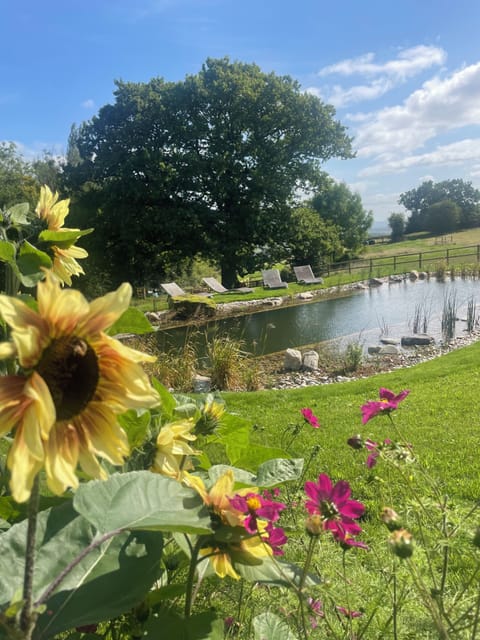 Natural Swimming Pool in the communal area of the extensive gardens