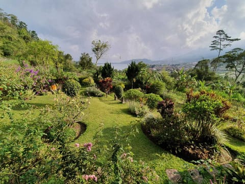 View from sun terrace